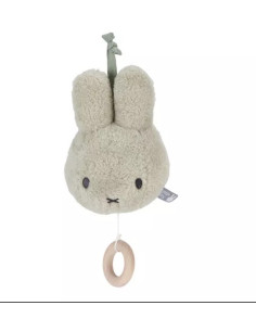 muziekdoosje fluffy...