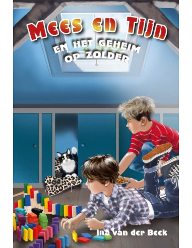 Mees en Tijn en het geheim op zolder