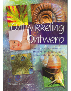 Ontwikkeling of ontwerp