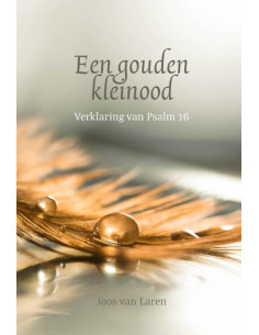 Een gouden kleinood