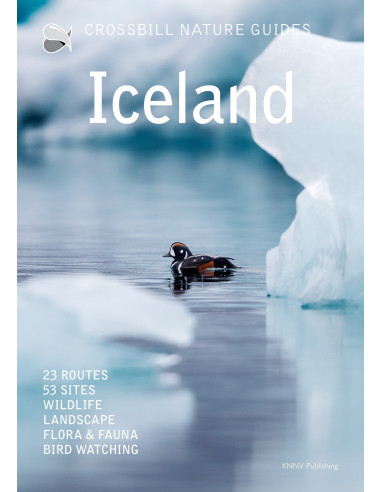 Crossbill Nature Guide Iceland