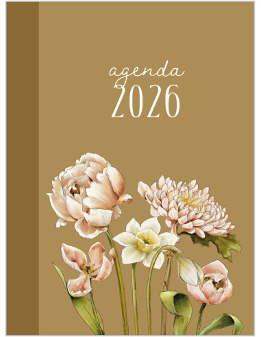 Agenda Studio Schilderachtig