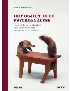 Het object in de psychoanalyse