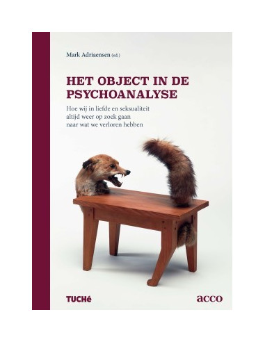 Het object in de psychoanalyse