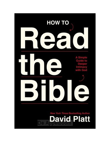 How to read the bible