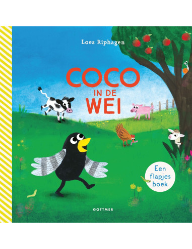 Coco in de wei
