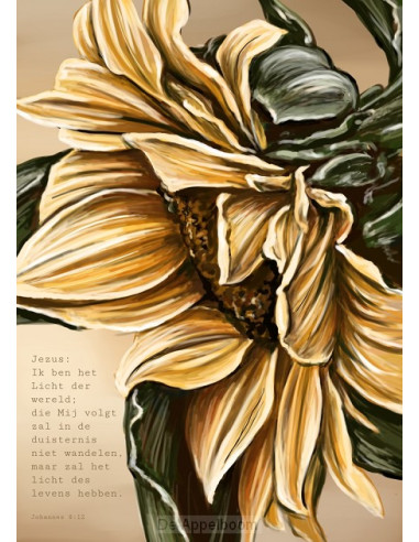 Poster A4 Ik ben het Licht der wereld