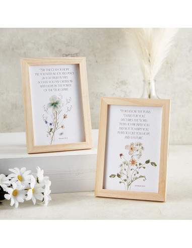 Frames (set2) Romans & Jeremiah