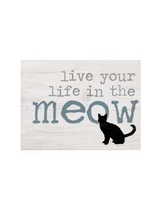 Live you life in the meow