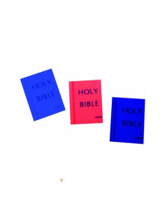 Holy Bible - Bible shaped