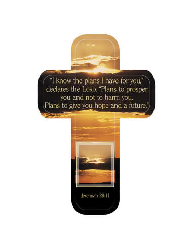 I know the plans I have for you