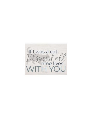 If I was a cat I''d spend all nine lives