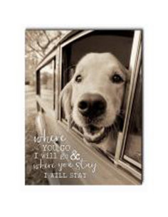 Where you go I will go