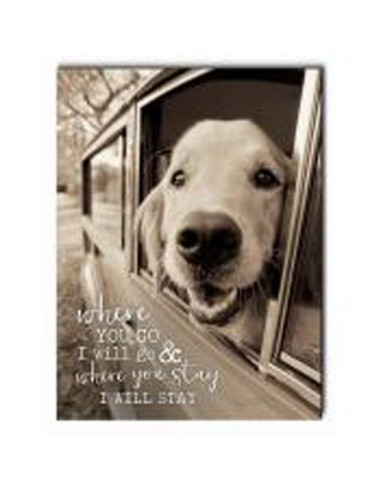 Where you go I will go