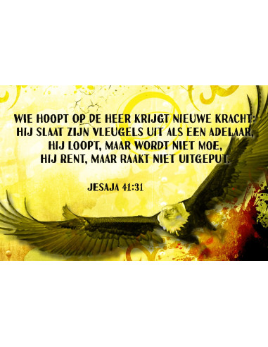 Wie hoopt op de Heer Jesaja 40:31