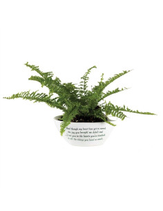 God''s gift - Lost child...