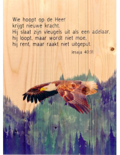 Adelaar Jesaja 40:31