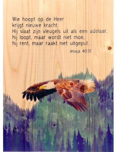 Adelaar Jesaja 40:31