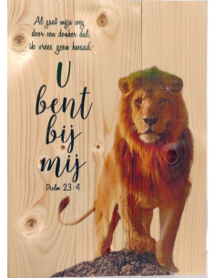 Leeuw U bent bij mij Psalm 23