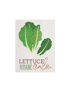 Lettuce remain calm