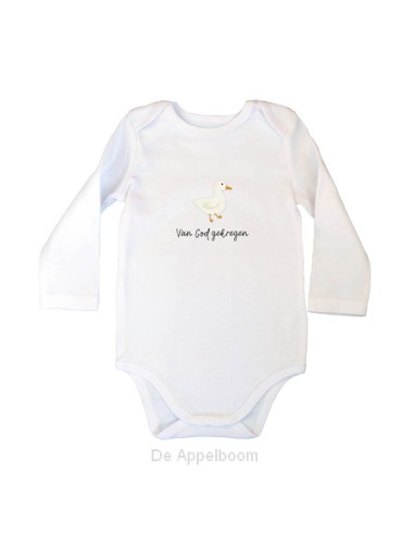 Jezus is de goede Herder