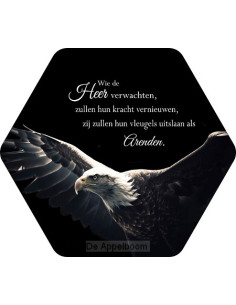 Wie de Heer verwachten Adelaar