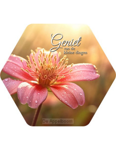 Geniet van de kleine dingen