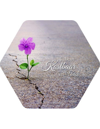 Jij bent kostbaar en uniek