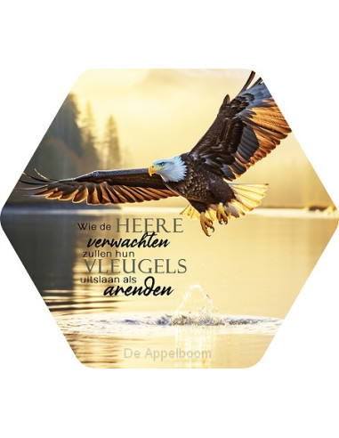 Wie de Heere verwachten adelaar small