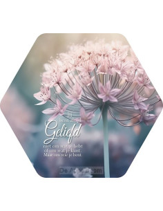 Jij bent altijd geliefd