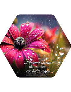 Bloemen bloeien niet zonder...