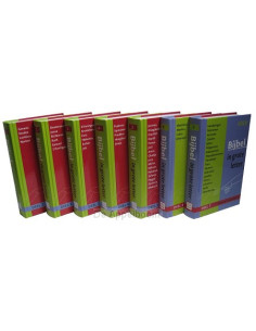 Groot Letter Bijbel -...