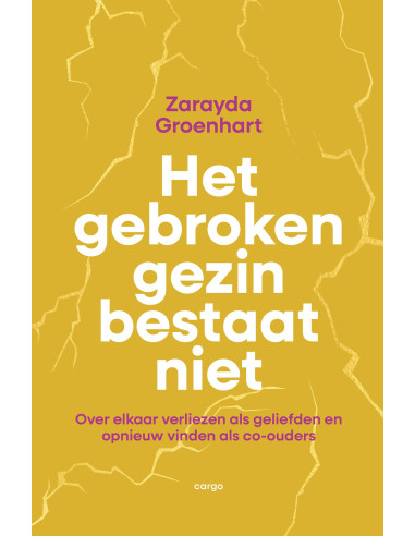 Het gebroken gezin bestaat niet