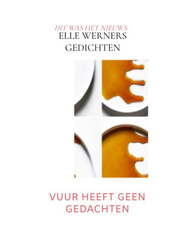 VUUR HEEFT GEEN GEDACHTEN