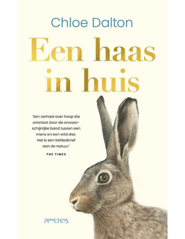 Een haas in huis