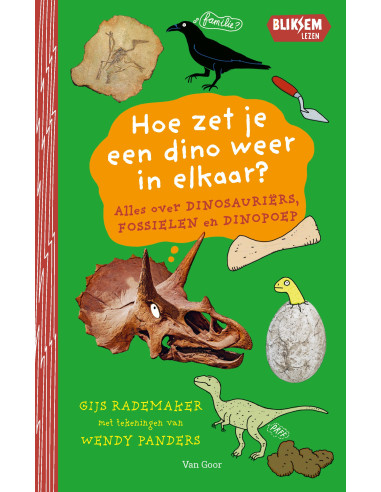 Hoe zet je een dino weer in elkaar?