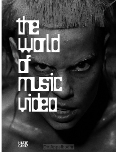 The World of Music Video