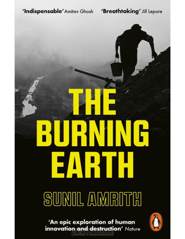 The Burning Earth