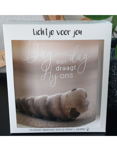 Lichtje voor jou : Dag aan dag