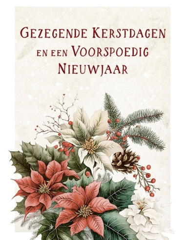 Map 5 Prentbriefkaarten Goede K/N