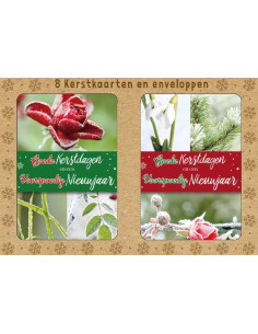 Kerstbox Goede K/N
