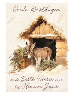 Map 5 Prentbriefkaarten...