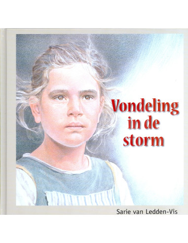 Vondeling in de storm