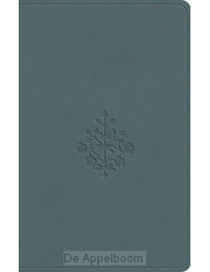 ESV - Value Compact Bible