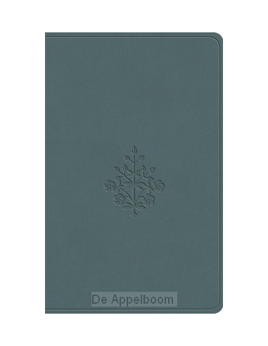 ESV - Value Compact Bible