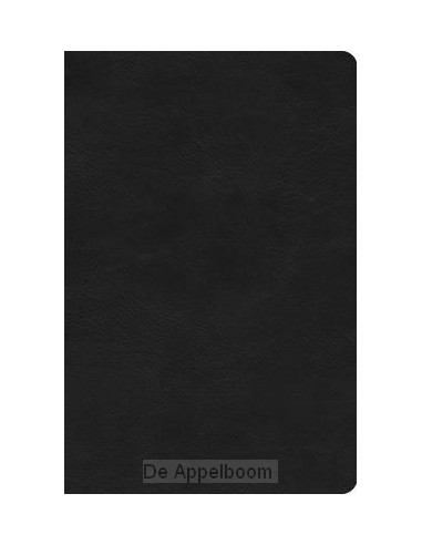 ESV - Value Compact Bible