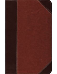ESV - Thinline Bible