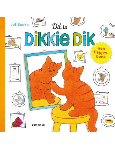 Dit is dikkie dik flapjesboek