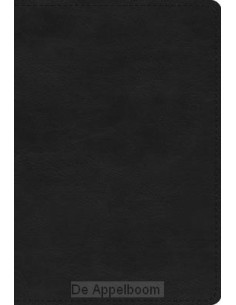 ESV - Large Print Compact...