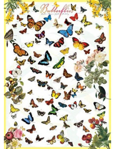Butterflies (1000)